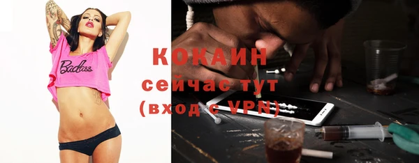 Альфа ПВП Пестово