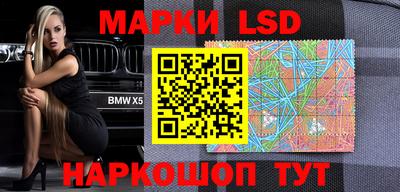 молекула духа Кингисепп