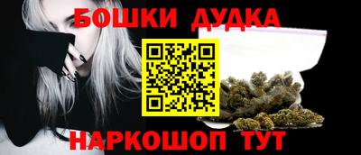 молекула духа Кингисепп