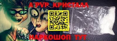 молекула духа Кингисепп