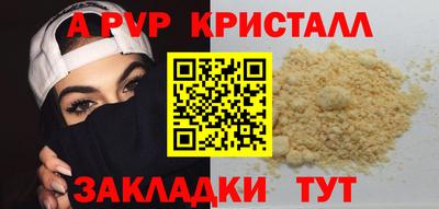 молекула духа Кингисепп
