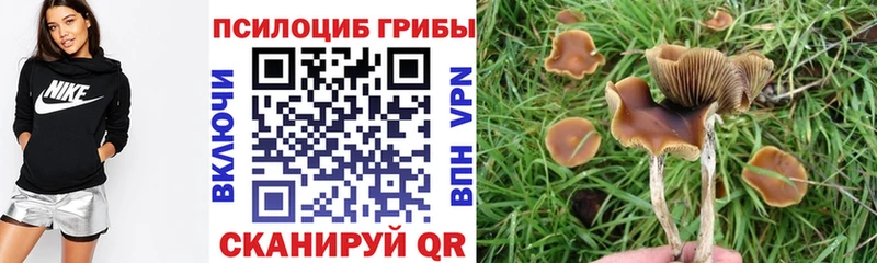 ссылка на мегу ССЫЛКА Ревда Псилоцибиновые грибы Cubensis