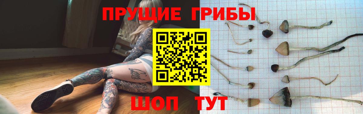Псилоцибиновые грибы MAGIC MUSHROOMS  наркотики  Ревда  Вход с VPN 